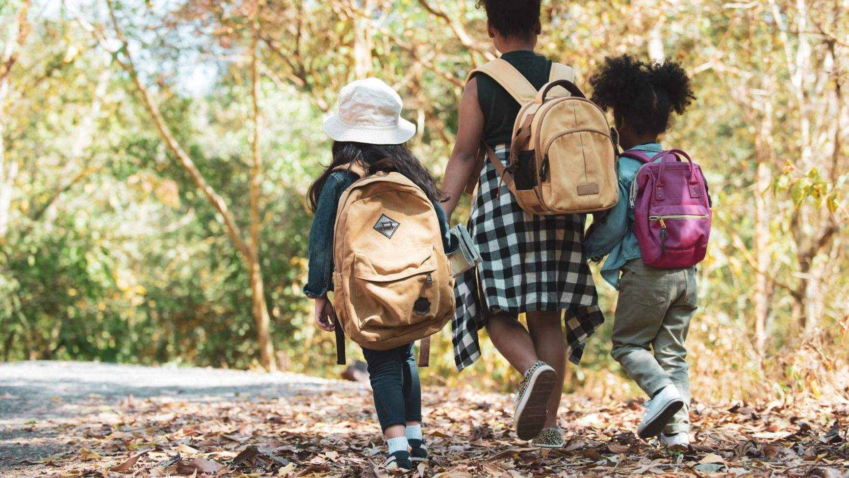 Kinder beim Waldausflug